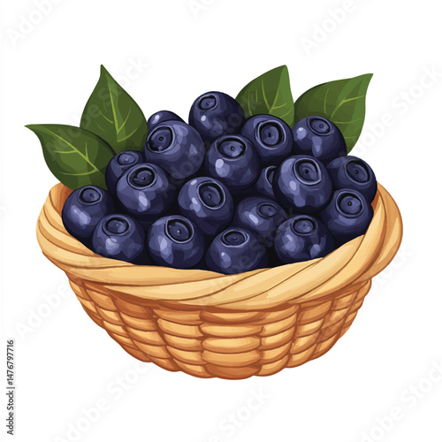 a Blueberry fruit on basket