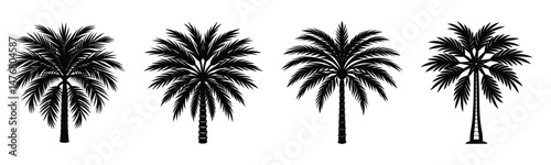 palm tree silhouette white background