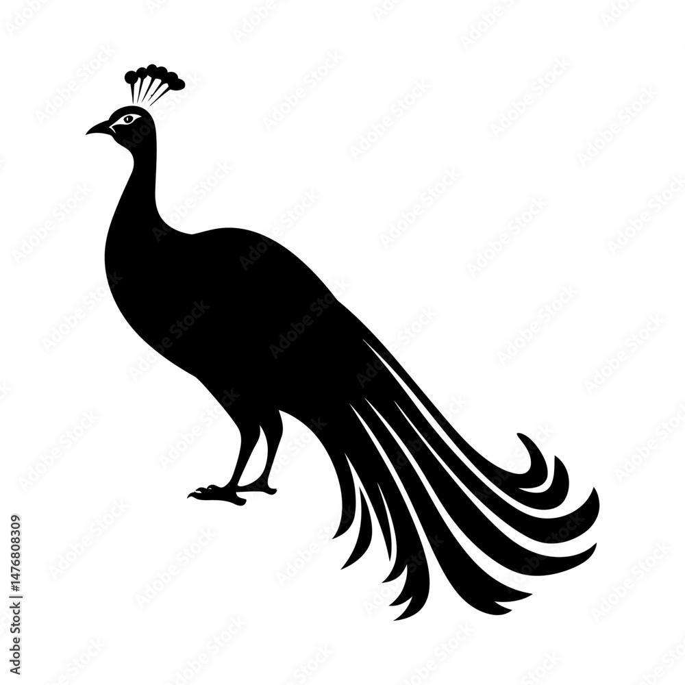 Fototapeta premium Peacock Silhouette Clipart Vector