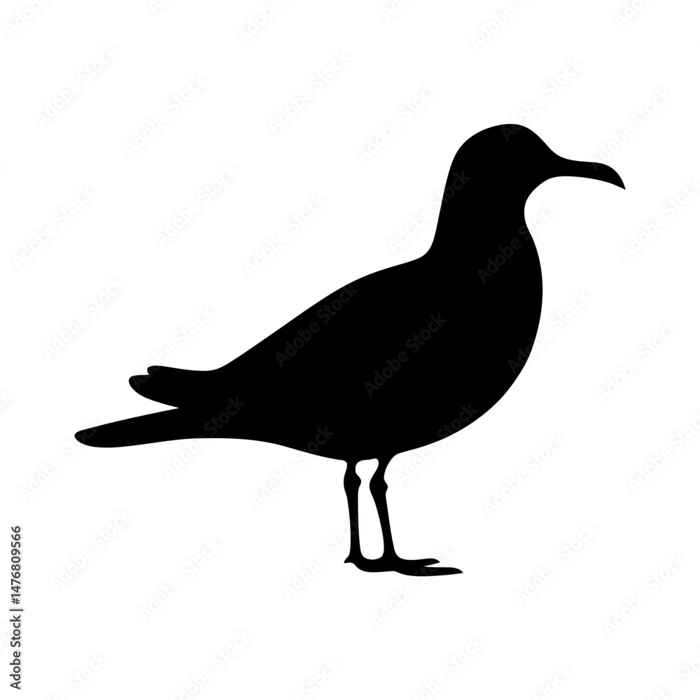 Obraz premium Seagull Silhouette Clipart Vector
