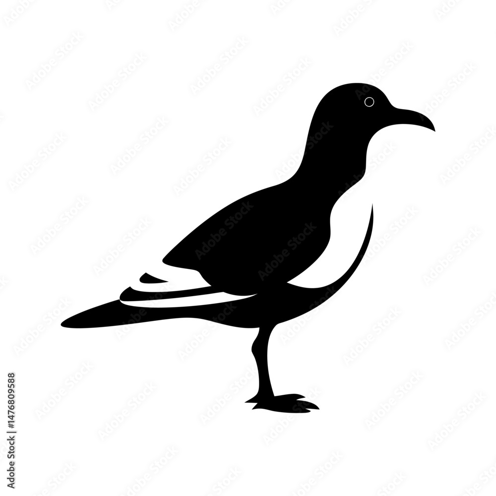 Fototapeta premium Seagull Bird Silhouette Art