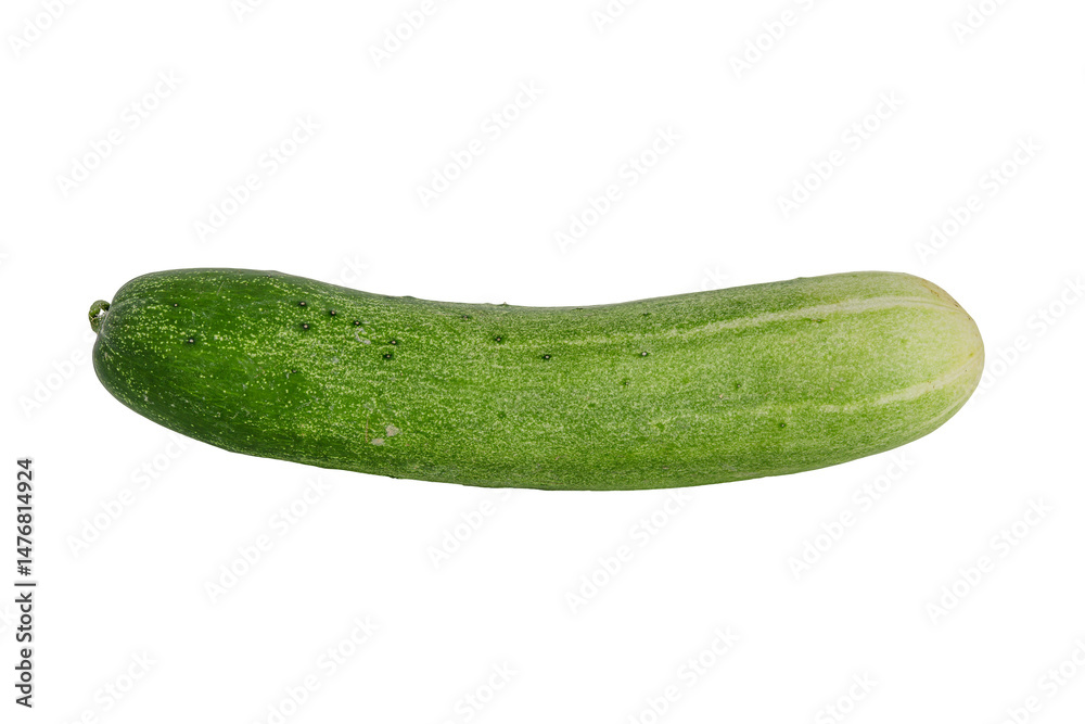 fresh green cucumber isolated on white background. fresh green cucumber isolated on white background.