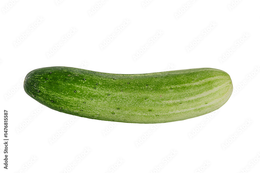 fresh green cucumber isolated on white background.