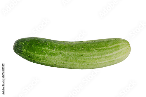 fresh green cucumber isolated on white background.