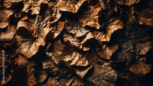 Dried brown leaves forming intricate natural autumnal pattern