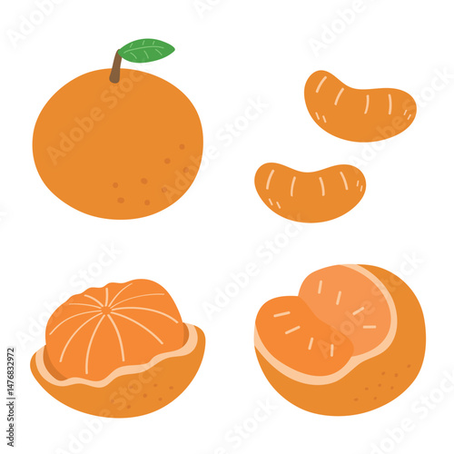 Mandarin Oranges Vector Set – A clean flat vector set showing whole mandarin oranges, sliced segments, and peeled views with rind details. Ideal for healthy food themes and tropical citrus designs.