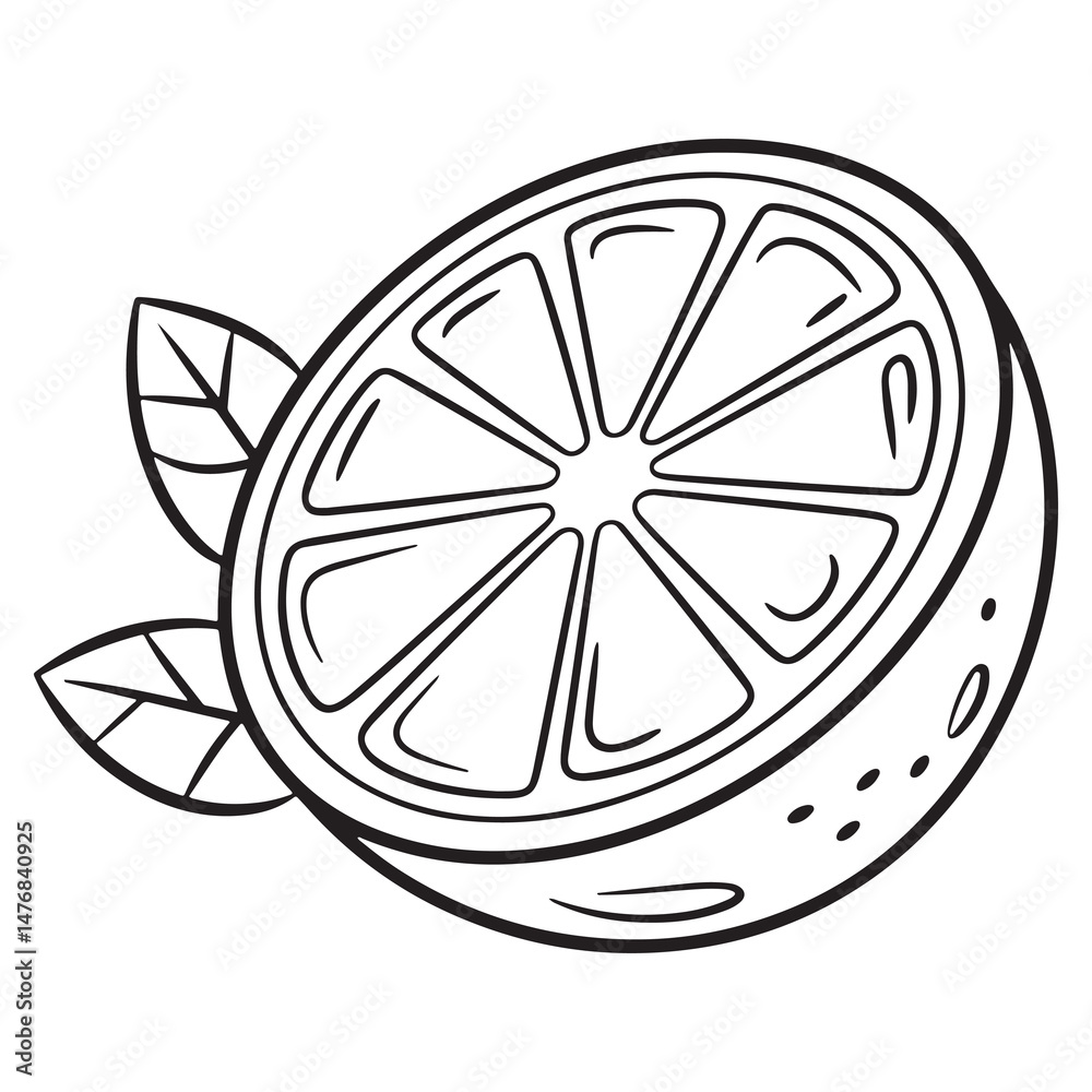 Sliced Orange – Minimal Citrus Fruit Line Art Page Sliced Orange – Minimal Citrus Fruit Line Art Page