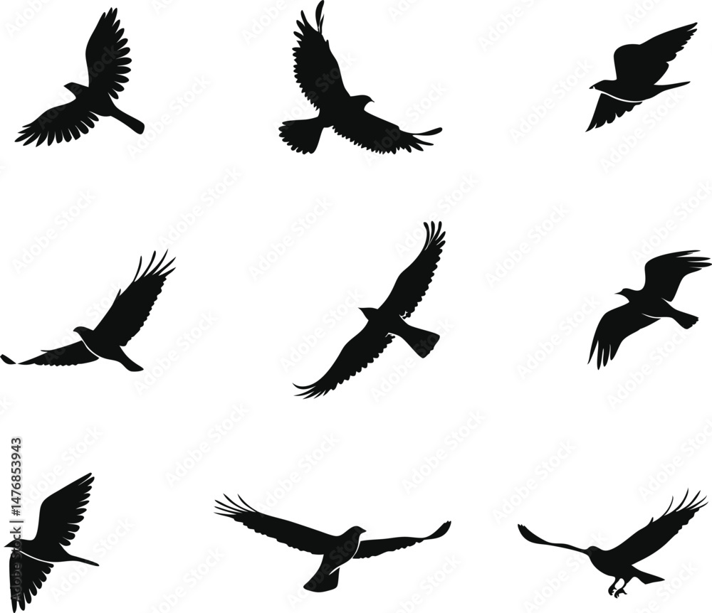Obraz premium Birds Set Design for Digital Art and Illustrations. Colorful Birds Set Design for Creative Projects. Hand Drawn Birds Set Design for Designers. Modern Birds Set Design for Art and Craft