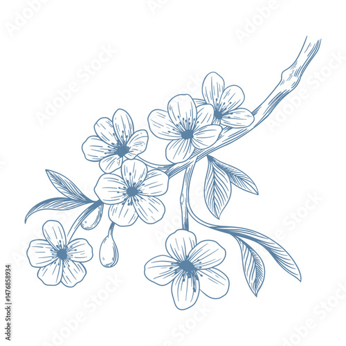 Botanical blue wedding flower on white background. Hand drawn floral, flower and leaf branch in toile de jouy style. Line art for wedding, monogram, invitation, greeting, logo, birthday cards
