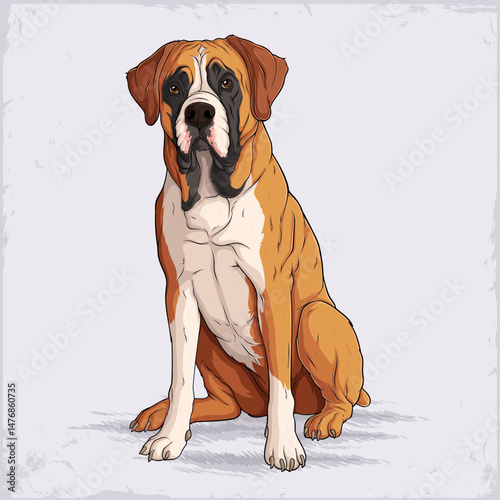 Hand drawn medium sized dog breed fawn Boxer sitting, short haired courageous, playful and loyal German boxer dog
