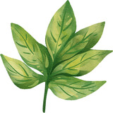 watercolor tropical leaf