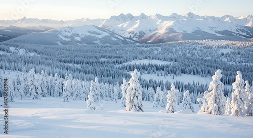 Winter's Silent Majesty