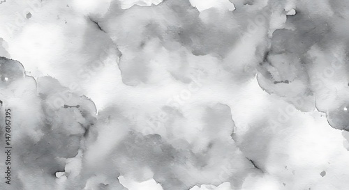 Silverpoint Reverie