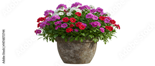 Colorful petunia flowers in full bloom displayed in a decorative stone textured planter