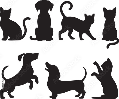 Dog SVG Bundle – Cute Pet Silhouettes & Paw Prints for Cricut & Crafts

Funny Dog Quote PNG – Pet Lover Design for T-Shirts & Stickers

Adopt Don’t Shop SVG – Rescue Dog Graphic for Apparel & Signs

D
