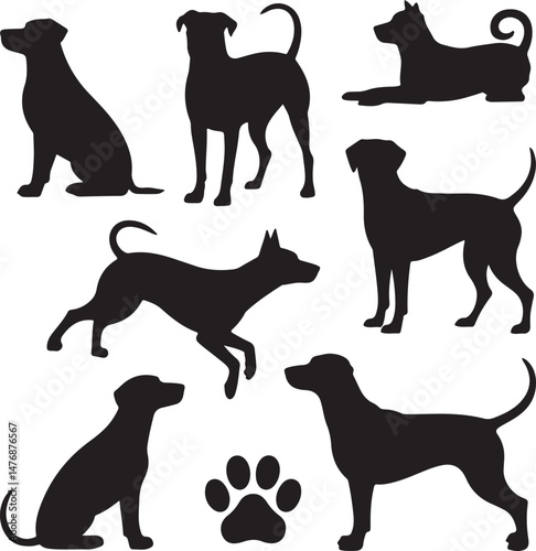 Dog SVG Bundle – Cute Pet Silhouettes & Paw Prints for Cricut & Crafts

Funny Dog Quote PNG – Pet Lover Design for T-Shirts & Stickers

Adopt Don’t Shop SVG – Rescue Dog Graphic for Apparel & Signs

D