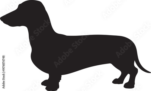 Dog SVG Bundle – Cute Pet Silhouettes & Paw Prints for Cricut & Crafts

Funny Dog Quote PNG – Pet Lover Design for T-Shirts & Stickers

Adopt Don’t Shop SVG – Rescue Dog Graphic for Apparel & Signs

D