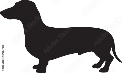 Dog SVG Bundle – Cute Pet Silhouettes & Paw Prints for Cricut & Crafts

Funny Dog Quote PNG – Pet Lover Design for T-Shirts & Stickers

Adopt Don’t Shop SVG – Rescue Dog Graphic for Apparel & Signs

D