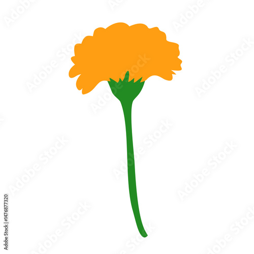 marigold flower isolated on white background. flat vector illustration.