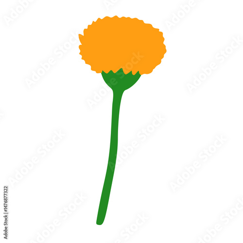 marigold flower isolated on white background. flat vector illustration. 