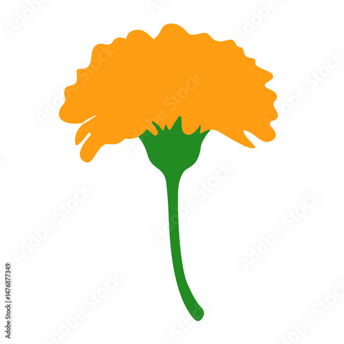 marigold flower isolated on white background. flat vector illustration. 