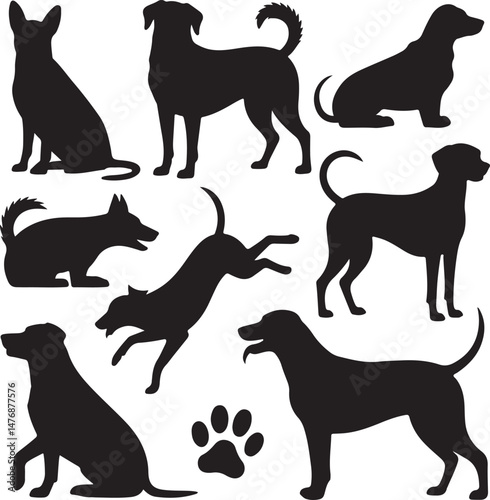 Dog SVG Bundle – Cute Pet Silhouettes & Paw Prints for Cricut & Crafts

Funny Dog Quote PNG – Pet Lover Design for T-Shirts & Stickers

Adopt Don’t Shop SVG – Rescue Dog Graphic for Apparel & Signs

D