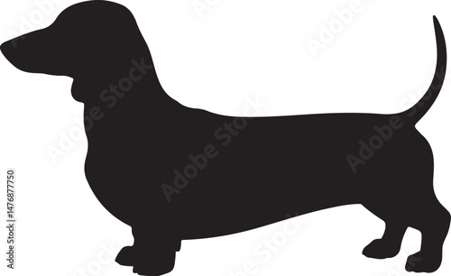 Dog SVG Bundle – Cute Pet Silhouettes & Paw Prints for Cricut & Crafts

Funny Dog Quote PNG – Pet Lover Design for T-Shirts & Stickers

Adopt Don’t Shop SVG – Rescue Dog Graphic for Apparel & Signs

D