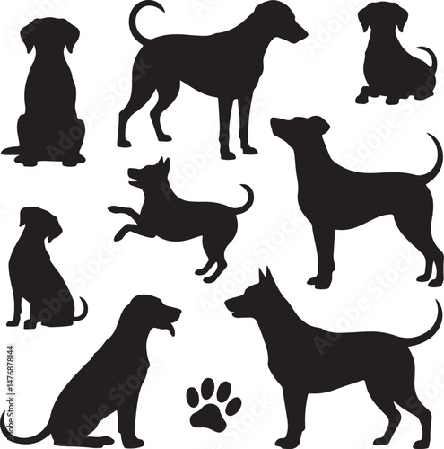 Dog SVG Bundle – Cute Pet Silhouettes & Paw Prints for Cricut & Crafts

Funny Dog Quote PNG – Pet Lover Design for T-Shirts & Stickers

Adopt Don’t Shop SVG – Rescue Dog Graphic for Apparel & Signs

D