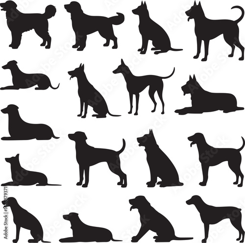 Dog SVG Bundle – Cute Pet Silhouettes & Paw Prints for Cricut & Crafts

Funny Dog Quote PNG – Pet Lover Design for T-Shirts & Stickers

Adopt Don’t Shop SVG – Rescue Dog Graphic for Apparel & Signs

D