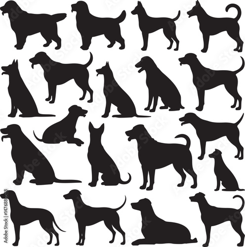 Dog SVG Bundle – Cute Pet Silhouettes & Paw Prints for Cricut & Crafts

Funny Dog Quote PNG – Pet Lover Design for T-Shirts & Stickers

Adopt Don’t Shop SVG – Rescue Dog Graphic for Apparel & Signs

D