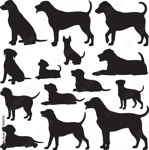 Dog SVG Bundle – Cute Pet Silhouettes & Paw Prints for Cricut & Crafts

Funny Dog Quote PNG – Pet Lover Design for T-Shirts & Stickers

Adopt Don’t Shop SVG – Rescue Dog Graphic for Apparel & Signs

D
