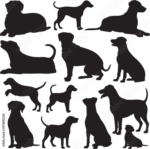 Dog SVG Bundle – Cute Pet Silhouettes & Paw Prints for Cricut & Crafts

Funny Dog Quote PNG – Pet Lover Design for T-Shirts & Stickers

Adopt Don’t Shop SVG – Rescue Dog Graphic for Apparel & Signs

D