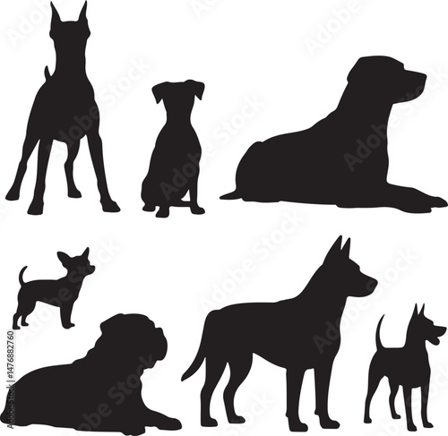 Dog SVG Bundle – Cute Pet Silhouettes & Paw Prints for Cricut & Crafts

Funny Dog Quote PNG – Pet Lover Design for T-Shirts & Stickers

Adopt Don’t Shop SVG – Rescue Dog Graphic for Apparel & Signs

D