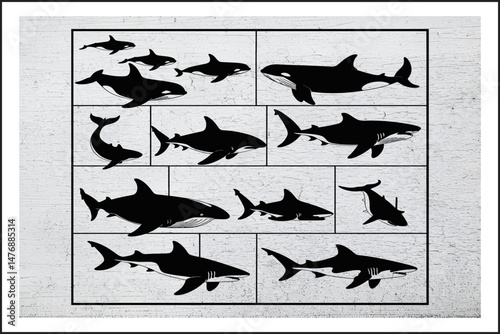 Shark & Orca Vector Bundle
Killer Whale and Shark Silhouette Set
Ocean Predator Clipart Pack
Sea Creatures Silhouette Collection