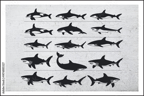 Shark & Orca Vector Bundle
Killer Whale and Shark Silhouette Set
Ocean Predator Clipart Pack
Sea Creatures Silhouette Collection