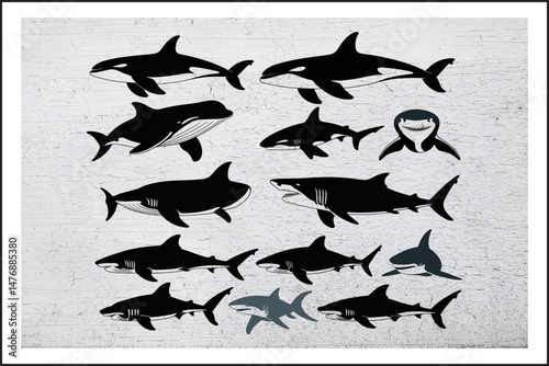 Shark & Orca Vector Bundle
Killer Whale and Shark Silhouette Set
Ocean Predator Clipart Pack
Sea Creatures Silhouette Collection