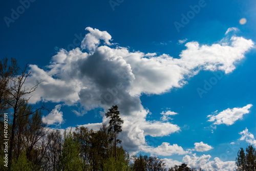 Fototapeta Naklejka Na Ścianę i Meble -  White cumulus clouds stretching across the blue sky