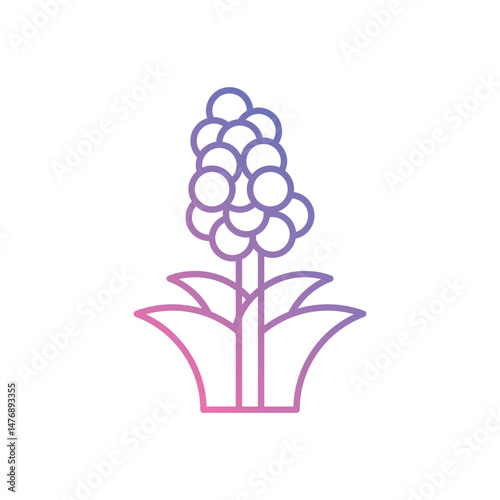 Quinoa vector icons stock illustration