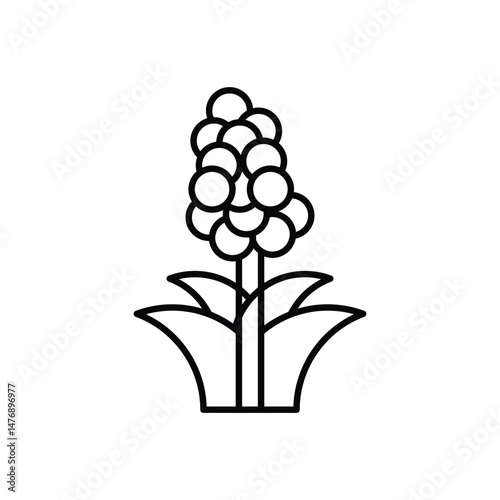 Quinoa vector icons stock illustration