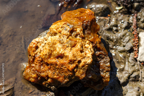 Bright yellow-brown untreated chalcedony lying on the shore of a reservoir