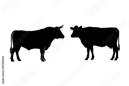 Black and white vector illustration shows a cow and calf silhouette, farm animals often raised for beef and milk