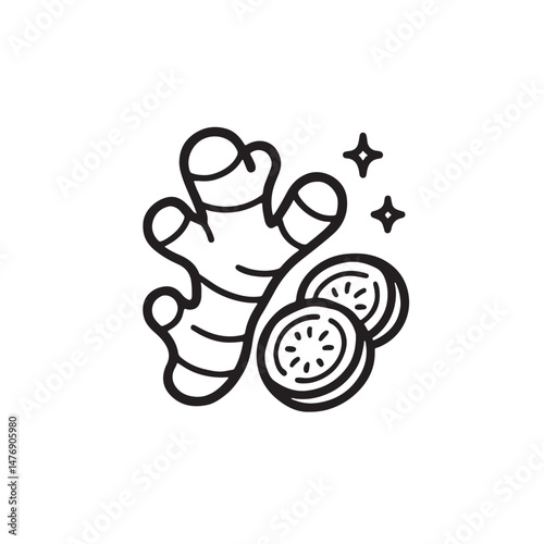 vector illustration of ginger