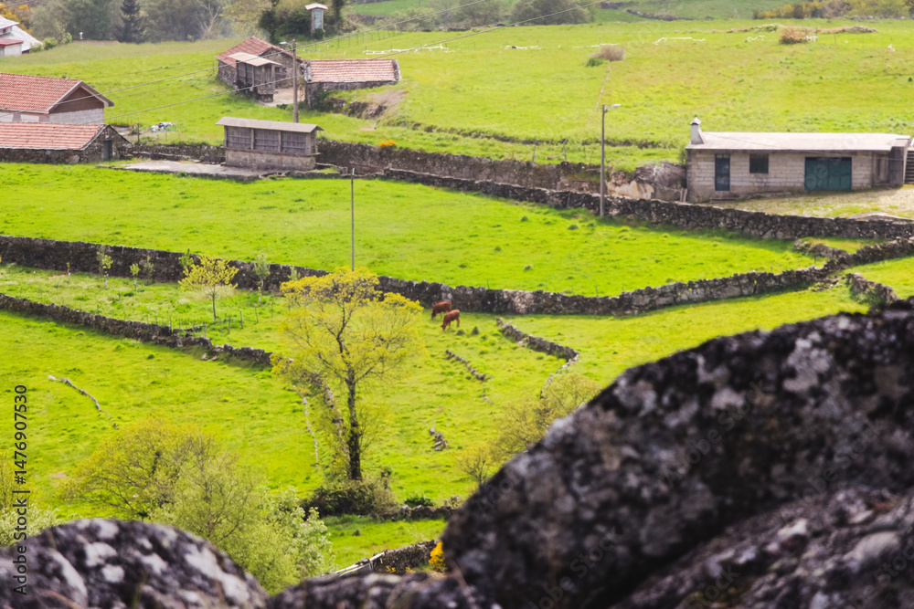Obraz premium Serra da Freita
