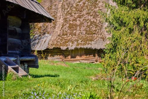 old Carpathian wooden houses with straw roofs standing on a green meadow