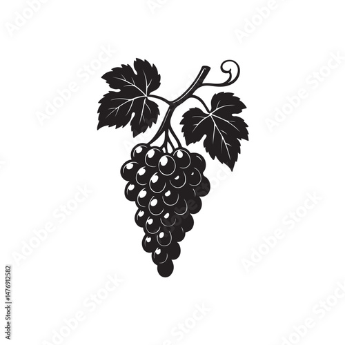 bunch of grapes with leaves