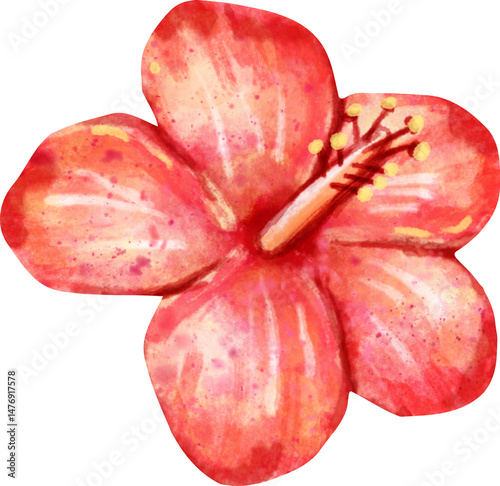 Fototapeta Naklejka Na Ścianę i Meble -  watercolor hibiscus flower