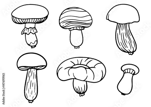 Mushroom doodle icon set. Hand-drawn vector illustration of edible mushrooms. Sketch style fungi collection for food design, packaging, kitchen decor, and organic products.