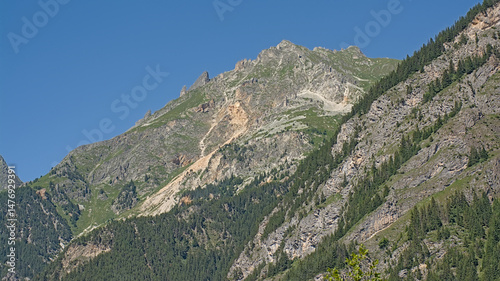Alpine mountains with meadows, pine forest and granite tops in Vanoise national park, France 