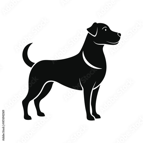 Silhouette of a Black Dog