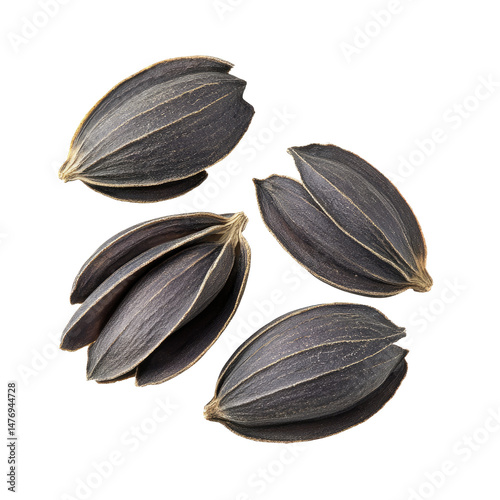 Wallpaper Mural Dark, shelled seeds, close-up.  Four,  flat,  and  unique Torontodigital.ca